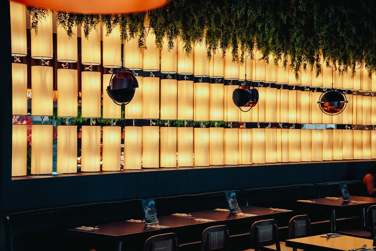 Umami World Kitchen Buffet Restaurant